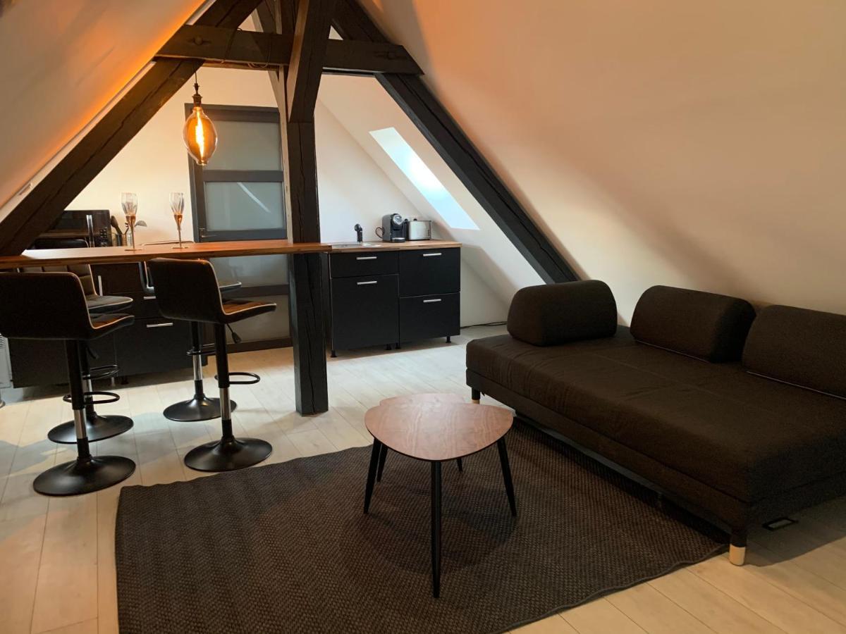 Apartamento Cocoon Loft Colmar Exterior foto