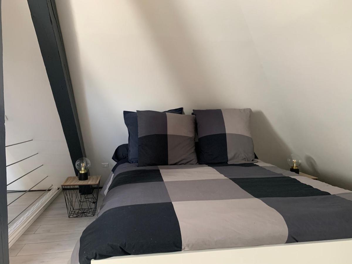 Apartamento Cocoon Loft Colmar Exterior foto