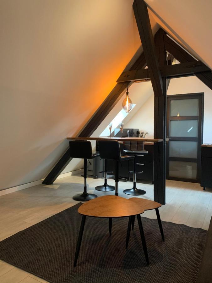 Apartamento Cocoon Loft Colmar Exterior foto
