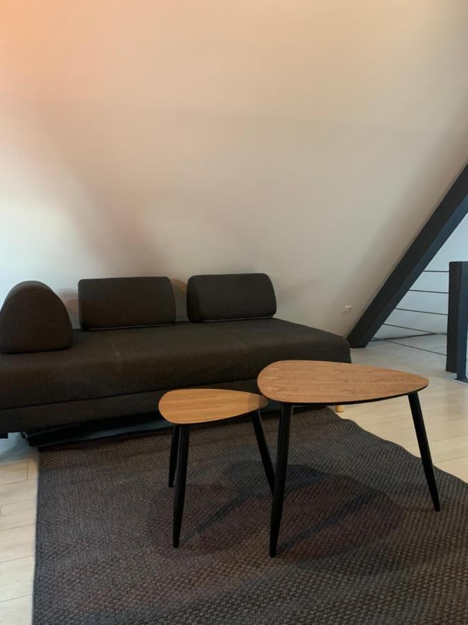 Apartamento Cocoon Loft Colmar Exterior foto