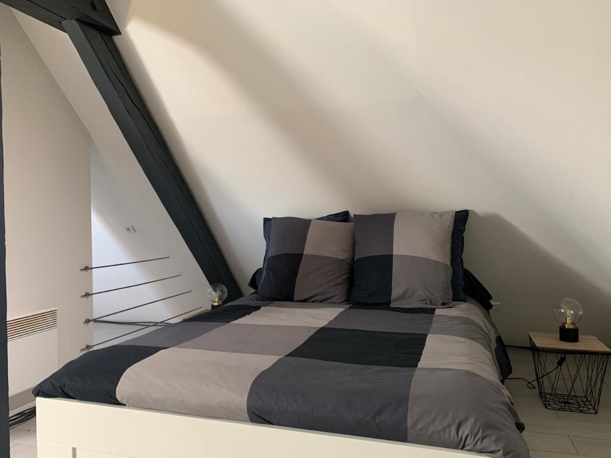 Apartamento Cocoon Loft Colmar Exterior foto